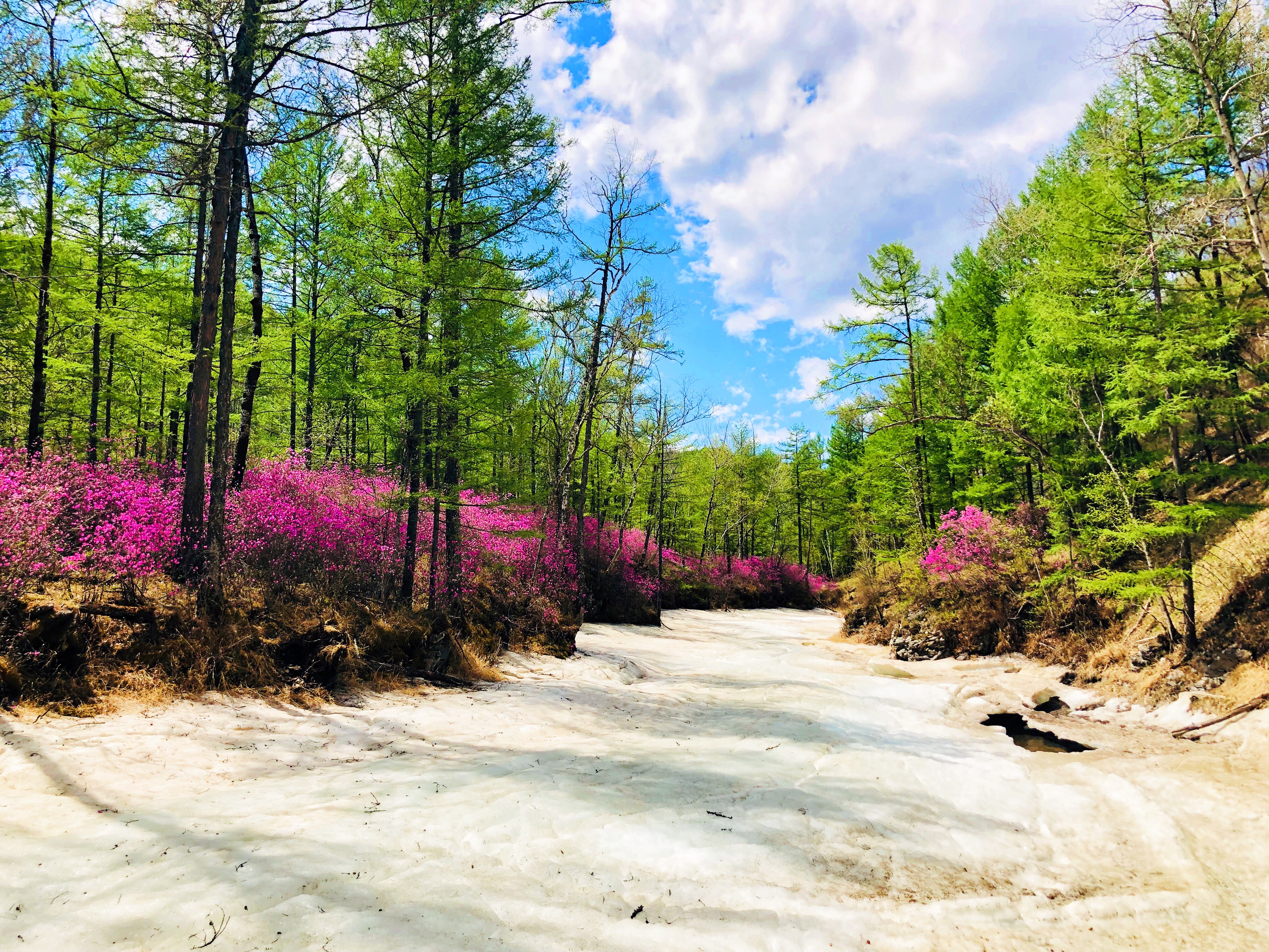 好森沟国家森林公园